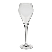 Champagneglass 16 cl Brio