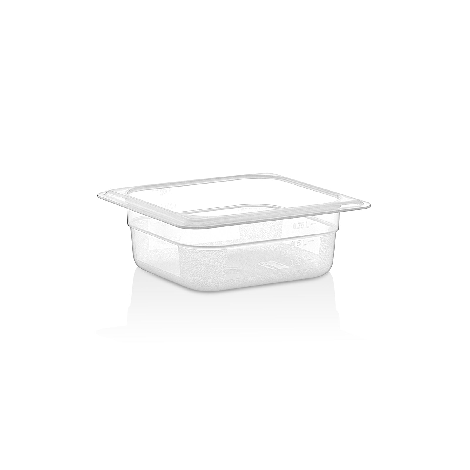 GN kantine PP 1/6 -65 Transparent