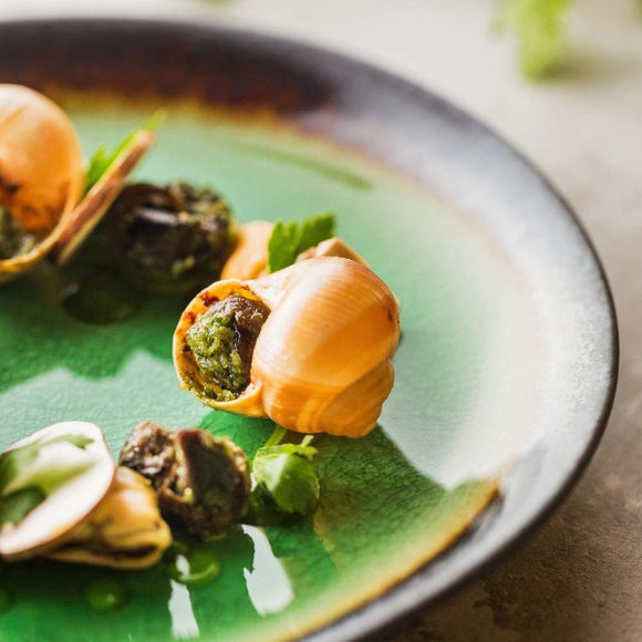 Beryl flat plate, 254 mm, Min. kjøp: 3 - for Storkjøkken - XL - Storkjøkken