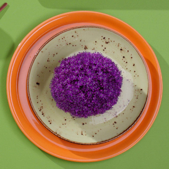 Dahlia høykantplate, 270 mm, Min. kjøp: 4 - for Storkjøkken - XL - Storkjøkken