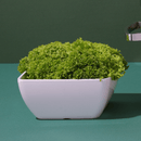 Firkantet melaminskål, hvit, 250x250x(h)120mm, Min. kjøp: 1 - for Storkjøkken - XL - Storkjøkken