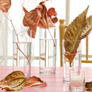 Liberty longdrinkglass 360 ml, Min. kjøp: 6-6