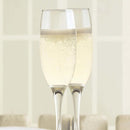 Aspen champagnefløyte 220 ml, LAV  , Min. kjøp: 12-4