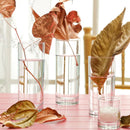 Rotterdam longdrinkglass 360 ml, LAV, Min. kjøp: 6-4