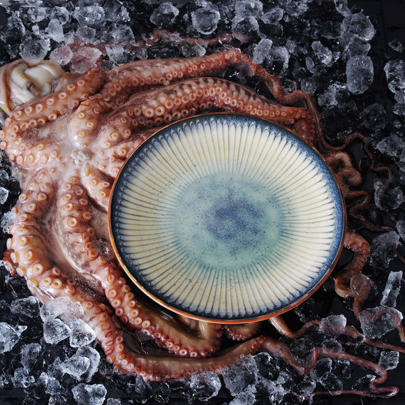 Galaxy flat plate, Min. kjøp: 6 - for Storkjøkken - XL - Storkjøkken