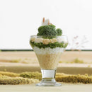 Malibu iskrem - og dessertkopp 305 ml, LAV, Min. kjøp: 8 - for Storkjøkken - XL - Storkjøkken