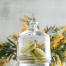 Brighton glassbeholder med lokk 285 ml, LAV-1