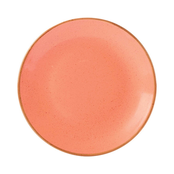 Ravfarget plate, 280 mm, Min. kjøp: 6 - for Storkjøkken - XL - Storkjøkken