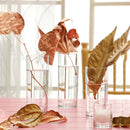 Rotterdam likørglass 65 ml, LAV, Min. kjøp: 12 - for Storkjøkken - XL - Storkjøkken