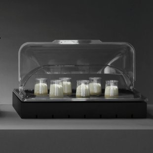 Rulllokk for GN 1/1, 535x330x(h)135mm, polykarbonat - for Storkjøkken - XL - Storkjøkken