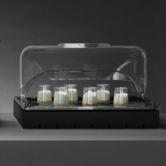 Rulllokk for GN 1/1, 535x330x(h)135mm, polykarbonat - for Storkjøkken - XL - Storkjøkken