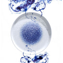 Serenity flat plate, 270 mm, Min. kjøp: 6 - for Storkjøkken - XL - Storkjøkken