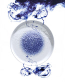 Serenity pastatallerken, 300 mm, Min. kjøp: 6 - for Storkjøkken - XL - Storkjøkken