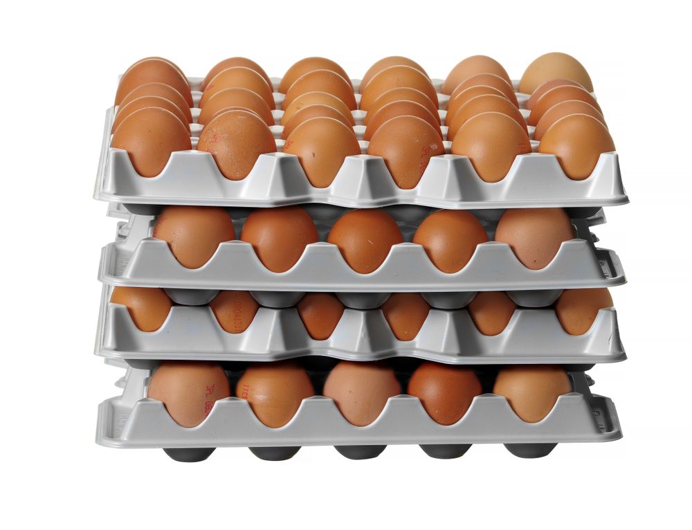 Sett med 4 eggbrett for Ovobox 120 - for Storkjøkken - XL - Storkjøkken