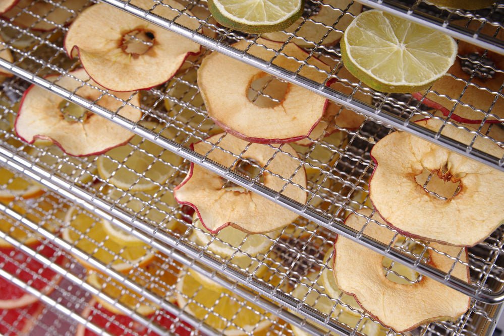 Food Dehydrator - Mattørker, 10 skuffer, 230V/1000W, 417x535X (H) 430mm - for Storkjøkken - XL - Storkjøkken