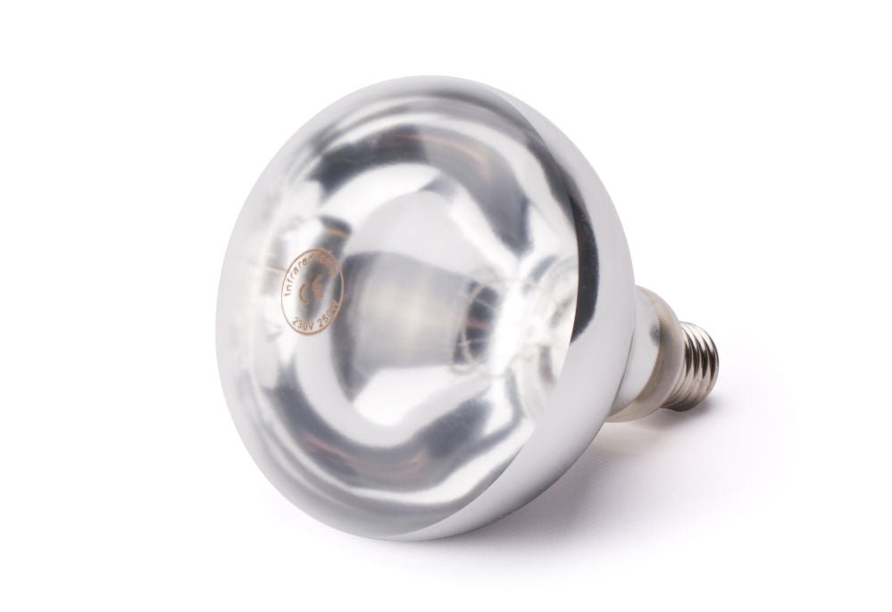 Infrarød varmepære, 230V/250W, Ø125x (H) 170mm - for Storkjøkken - XL - Storkjøkken